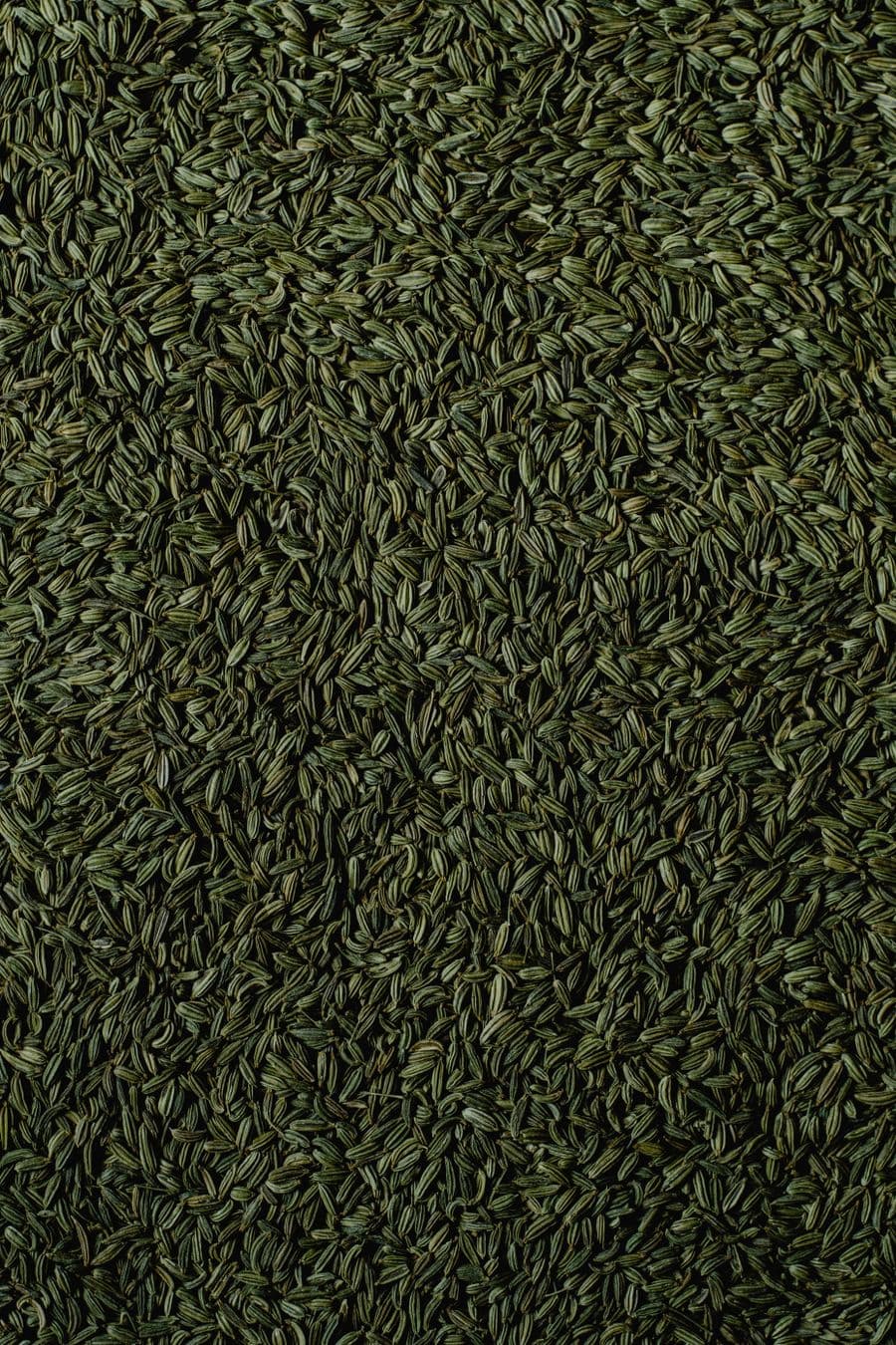 A close-up of fennel seeds
