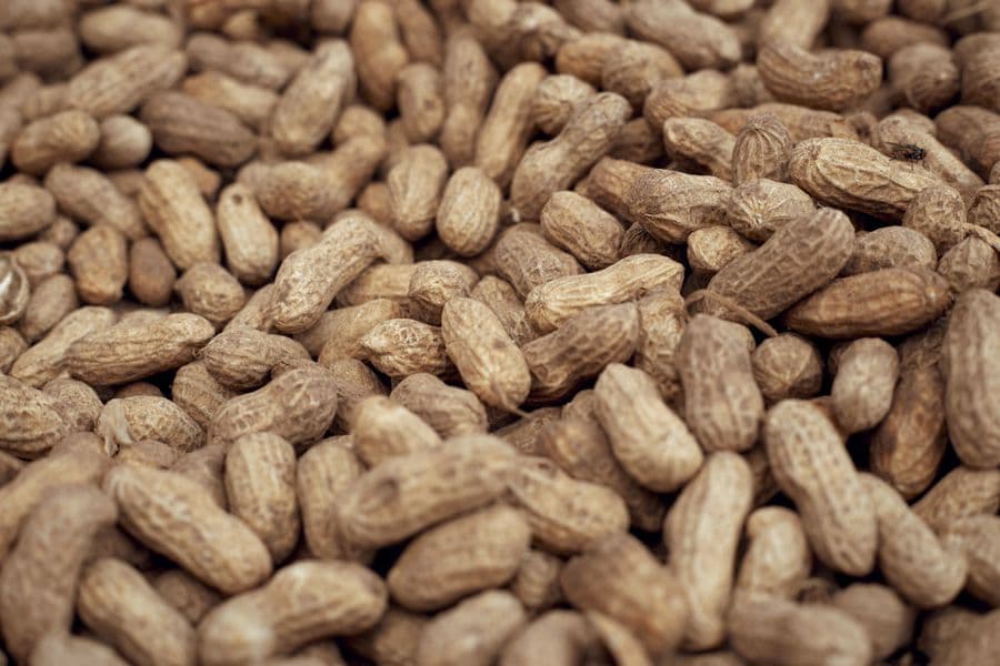 Peanuts in their shells