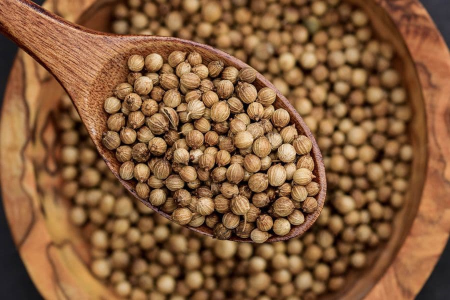 Whole coriander seeds on a wooden spoon and in a bowl