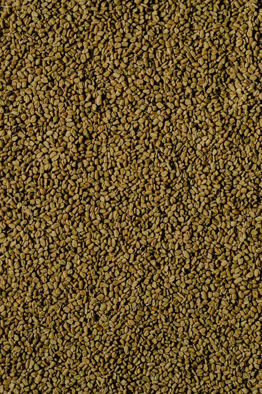 A close-up of fenugreek seeds