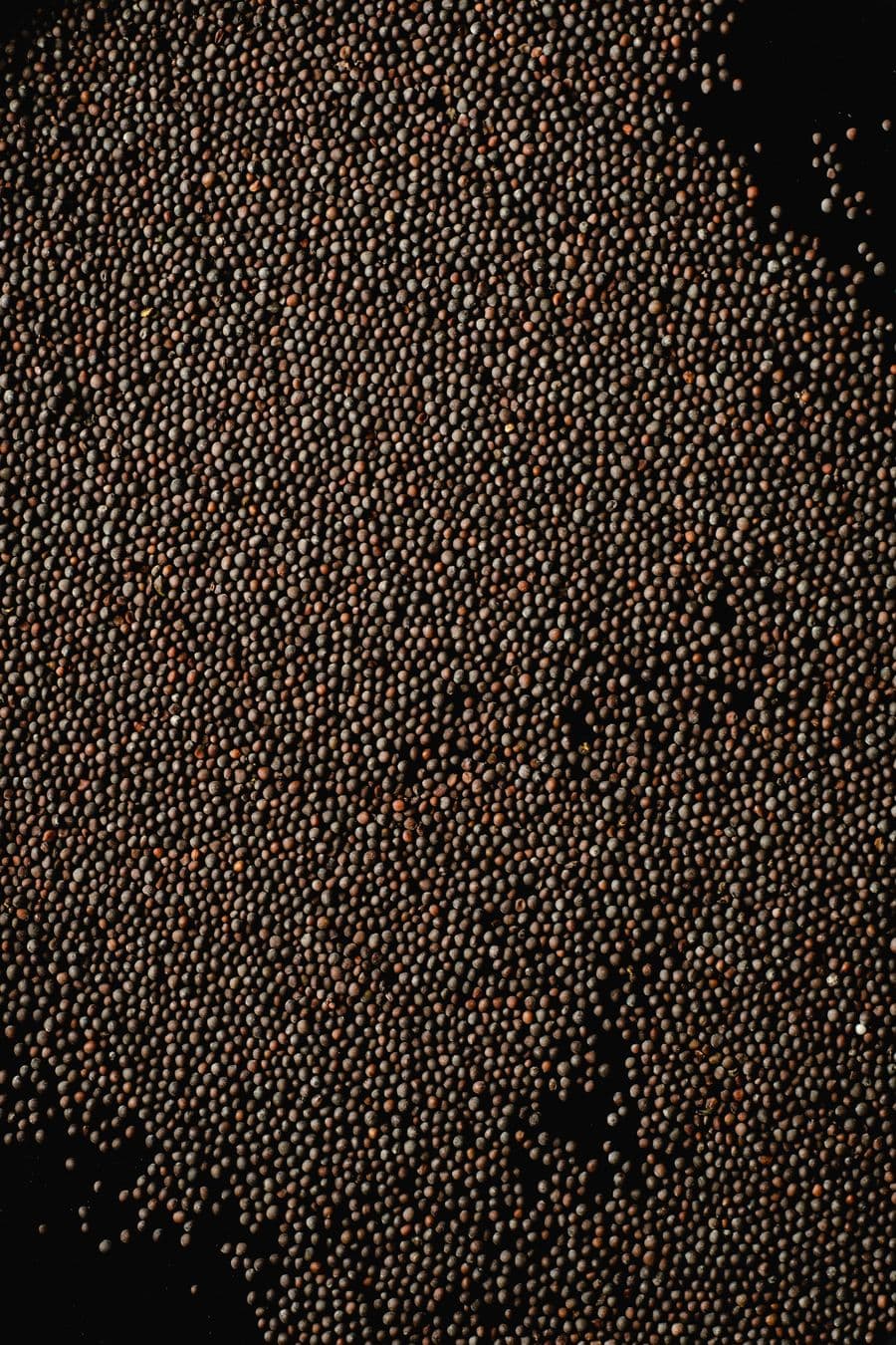 Dark mustard seeds on a black surface