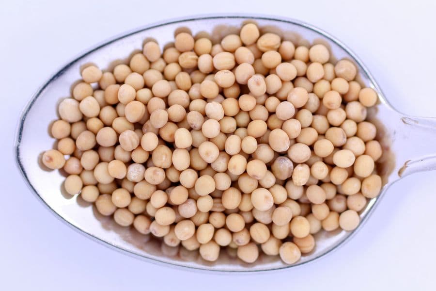 Yellow mustard seeds on a spoon